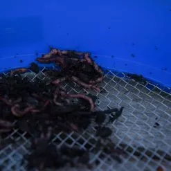 Cresta Supa Riddle Square Mesh -Aanbiedingen Hengels Winkel Cresta Supa Riddle Square Mesh4