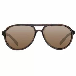 Korda Sunglasses Aviator Tortoise Frame Brown Lens